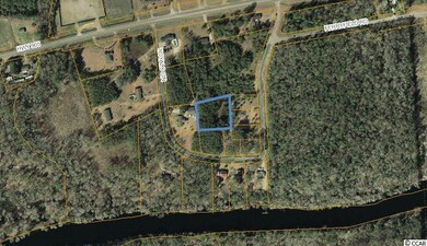 179 Royals Cir unit Lot 6, Conway, SC 29526 - photo 2