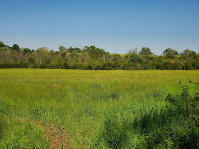 250 Temple Ford Rd, Shelbyville, TN 37160 - photo 3