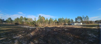 0 SW 135th Ave, Ocala, FL 34481 - photo 4