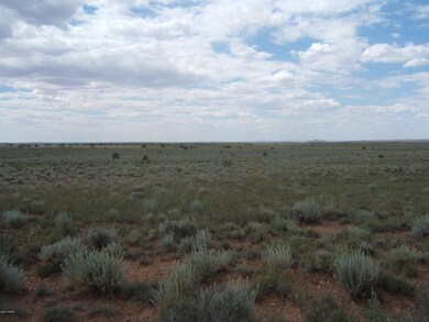 8538 Terry Trail 004