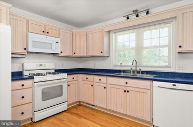 2855 Crocheron Rd, Toddville, MD 21672 - photo 6