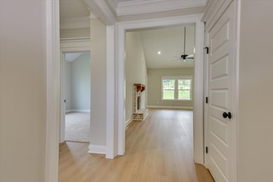 06-106-DSC_7726LRenfused