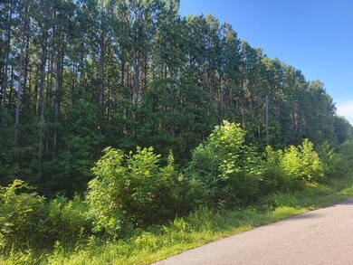 626 Double Bridges Rd unit 27B, Lunenburg, VA 23947 - photo 2