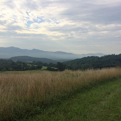 4 Ac. - High Ridge Dr, Lexington, VA 24450 - photo 3