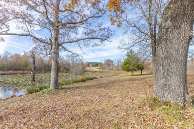 2010 County Road 459, Poplar Bluff, MO 63901 - photo 5