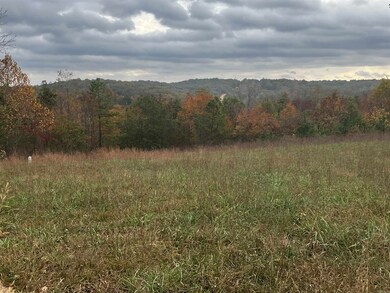 1300 Qmc Rd, Mountain View, AR 72560 - photo 2