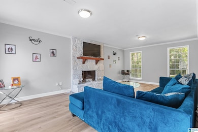 1010 Cannon Cir, Birmingham, AL 35235 - photo 6