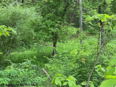 TBD Moyer Hollow Rd, Elkins, WV 26241 - photo 5