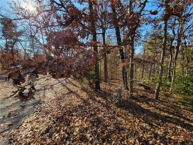 0 Hadnet Ln, Bella Vista, AR 72714 - photo 3