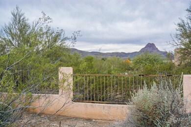 view over the fence