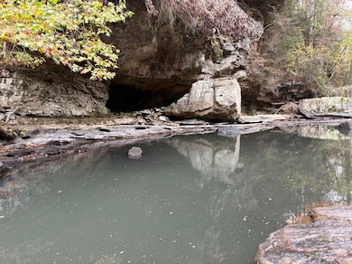 1130 County Road 376, Pisgah, AL 35765 - photo 2