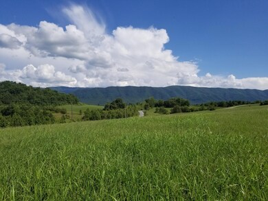 Lot 41 Tabor Rd, Greeneville, TN 37743 - photo 6