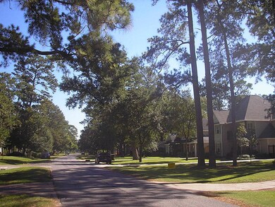 501 W 34th St, Houston, TX 77018 - photo 4