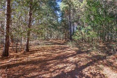 76 Paul Smith Rd, Covington, GA 30014 - photo 7