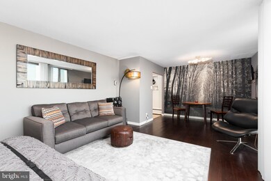 Tiber Island unit N810, Washington, DC 20024 - photo 5