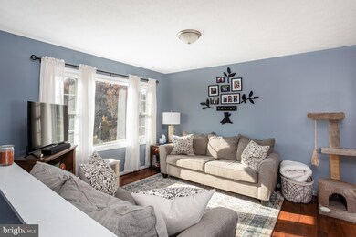 3348 Swover Creek Rd, Edinburg, VA 22824 - photo 3