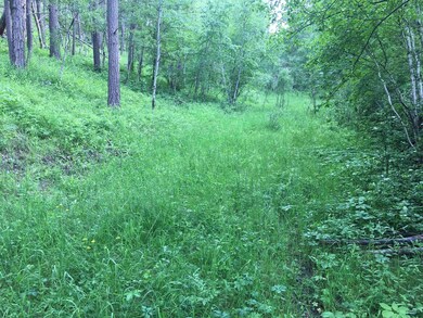 0 Danube Ln, West Pennington, SD 57702 - photo 5