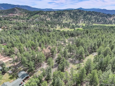 20461 S Wandcrest Dr, Pine, CO 80470 - photo 7