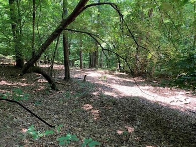 11041 Parsons Rd, Johns Creek, GA 30097 - photo 7