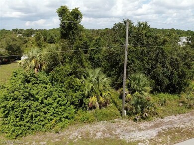 6015 Olive Ave N, Lehigh Acres, FL 33971 - photo 3