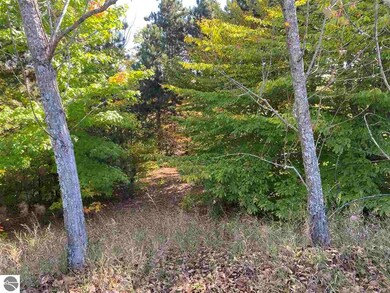 00 E Harrys Rd, Traverse City, MI 49684 - photo 7