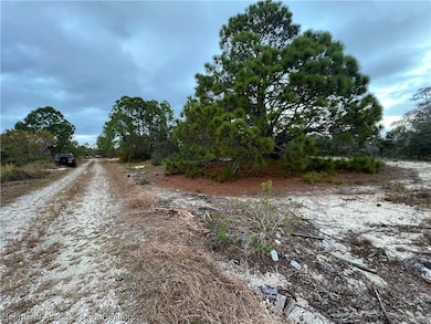 605 Avalon Ln, Lake Placid, FL 33852 - photo 4