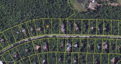 DigiacomoAerial2