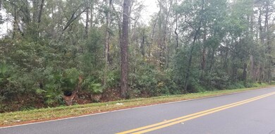 0 Armsdale Rd unit 1030532, Jacksonville, FL 32218 - photo 2