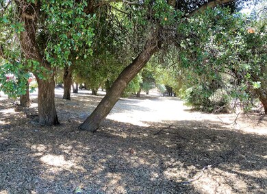 IMG_0597