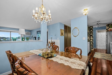 View From Kitchen Table