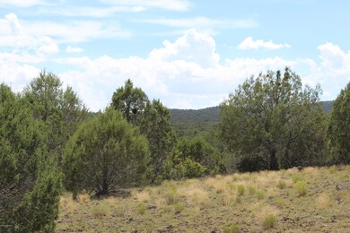 Tbd High Mountain Rd, Peach Springs, AZ 86434 - photo 2