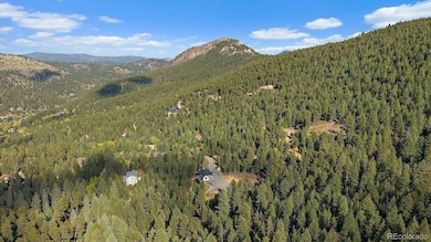 33884 Bergen View Trail unit 197153, Evergreen, CO 80439 - photo 5