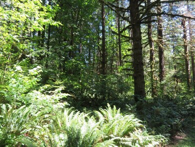 0 Deer Park Ln unit 20 19039654, Toledo, WA 98591 - photo 7