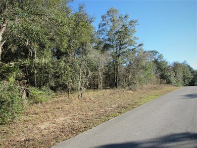 1/2 Acre (0.46) Elevated & Wooded New-Build Site Off Paved Road In Established Community, Beautiful Rainbow's End Estate in Dunnellon, Florida--Just Minutes To Dunnellon's Historic Town Square Built Around the Famous Rainbow and Withlacoochee Rivers + Lake Rousseau...Famous For The Large-Mouth Bass!