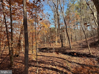 0 Hardware Rd unit VABH2000240, Scottsville, VA 24590 - photo 2