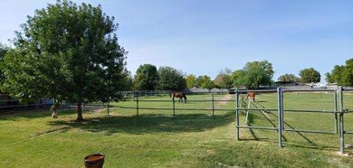 pasture