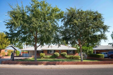 Mature shade trees