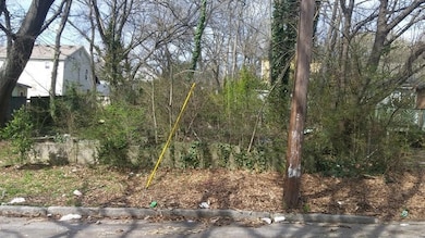 View of local wilderness