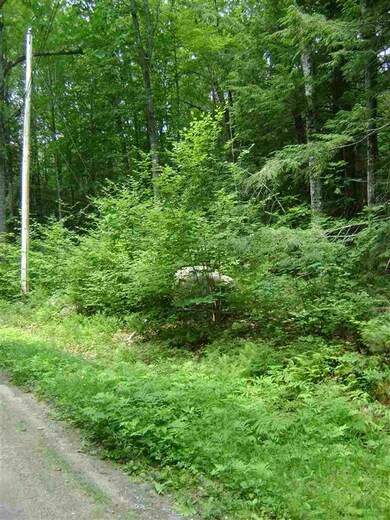 00 Casson St unit 31, Moultonborough, NH 03254 - photo 7