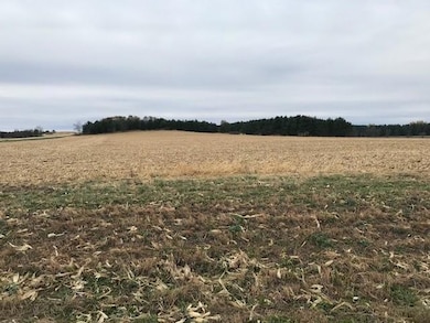 TBD Pine Bluff (Site15) Rd NW, Pine Island, MN 55963 - photo 3