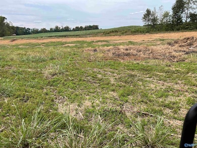 21638 Holland Rd, Athens, AL 35614 - photo 2