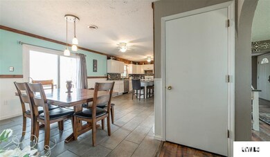 1723 1400th Ave, Lincoln, IL 62656 - photo 6