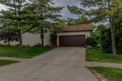 2293Sutter-5184