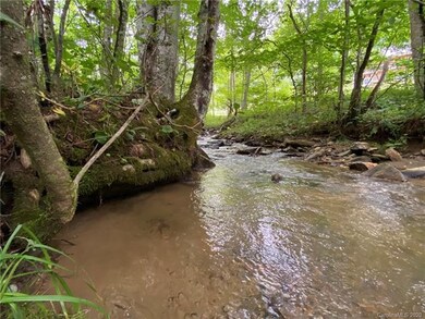 0000 Fox Creek Rd, Mars Hill, NC 28754 - photo 3