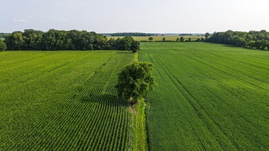 0 E 296th St unit MBR21936382, Atlanta, IN 46031 - photo 6