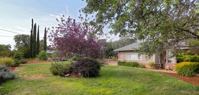 Front-Yard-A