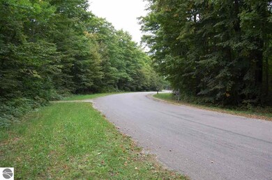 34 Sugar Maple Dr, Centerville Township, MI 49621 - photo 6