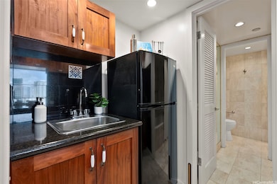 Kitchen Sink/Full Size Refrigerator