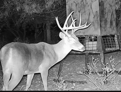 9288 Sutton County Road 406, Sonora, TX 76950 - photo 6