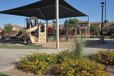 Cooleyplayground